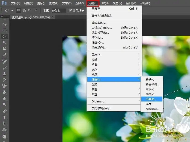 Photoshop怎么打马赛克 教程 第2张