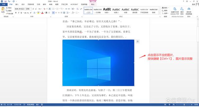 Word插入图片显示不全，调整布局为文字环绕嵌入型也没用怎么办？ Microsoft Office 第3张