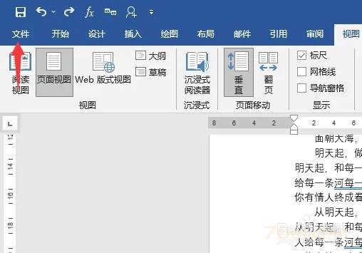 Microsoft Office 2021 Word如何显示分隔符 Microsoft Office 第4张